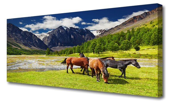 Obraz canvas Konie na Górskim Pastwisku
