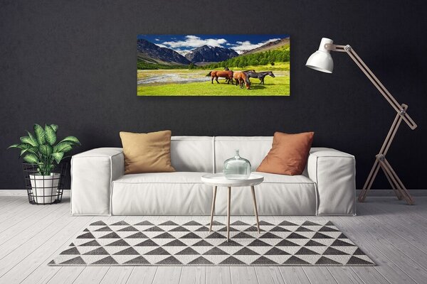 Obraz canvas Konie na Górskim Pastwisku