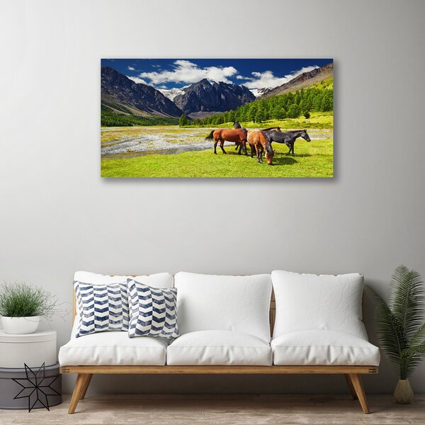 Obraz canvas Konie na Górskim Pastwisku
