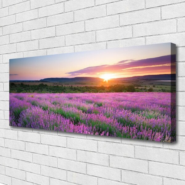 Obraz canvas Lawendowy Zmierzch na Polu