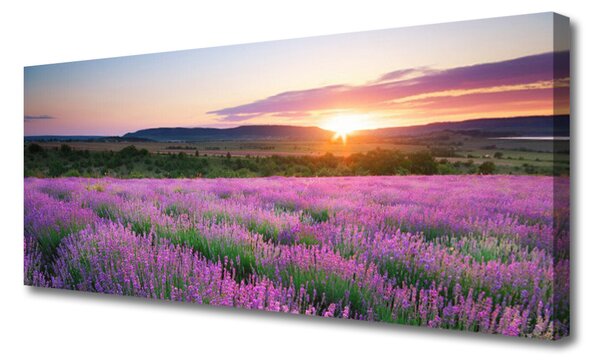 Obraz canvas Lawendowy Zmierzch na Polu