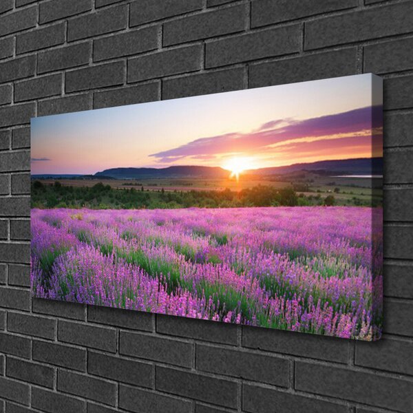 Obraz canvas Lawendowy Zmierzch na Polu