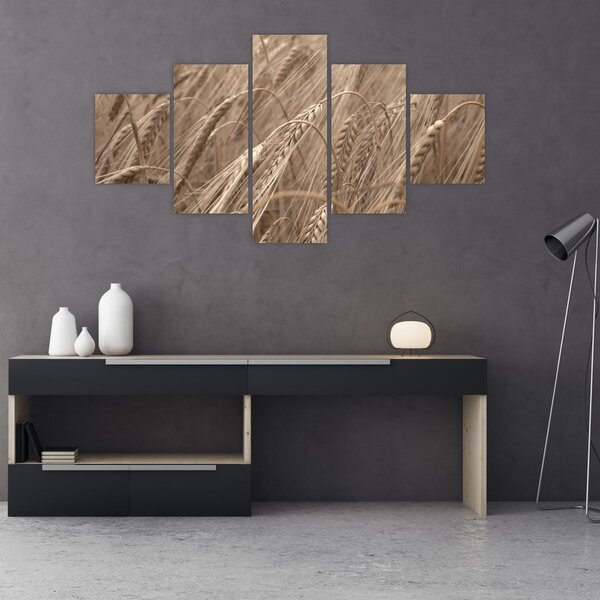 Obraz - Złote pole (125x70 cm)