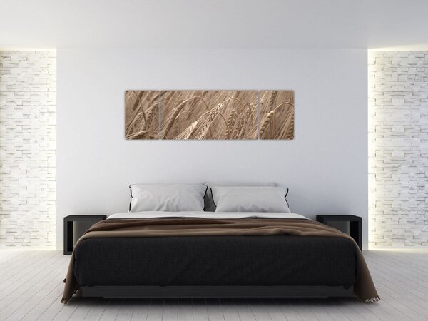 Obraz - Złote pole (170x50 cm)