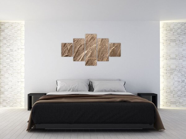 Obraz - Złote pole (125x70 cm)