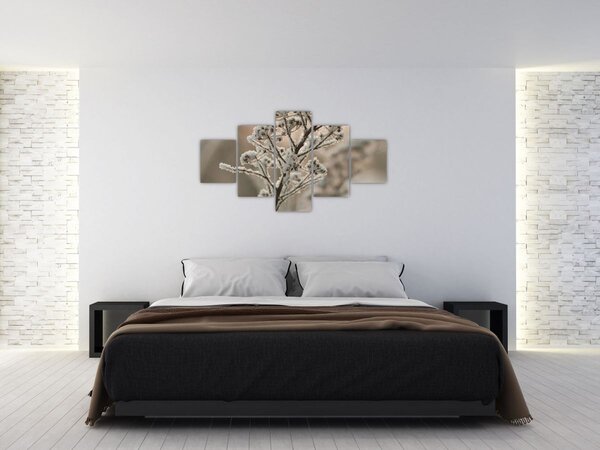 Obraz - Roślina w mrozie (125x70 cm)