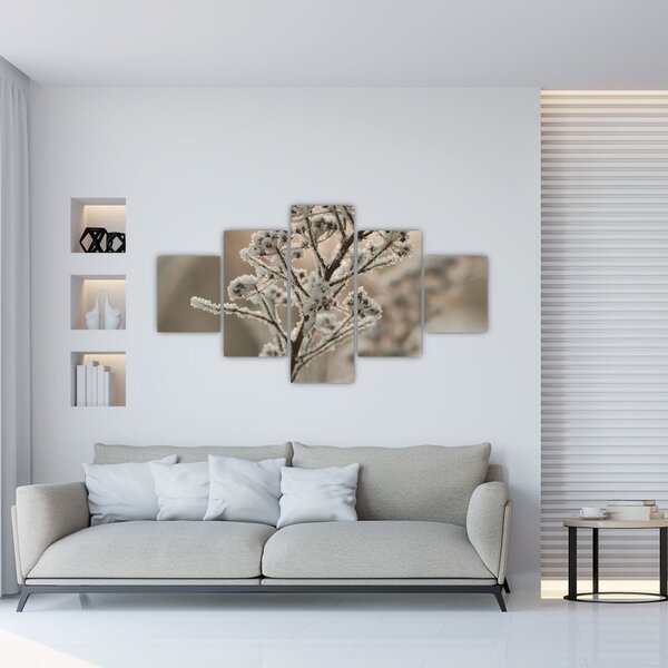 Obraz - Roślina w mrozie (125x70 cm)