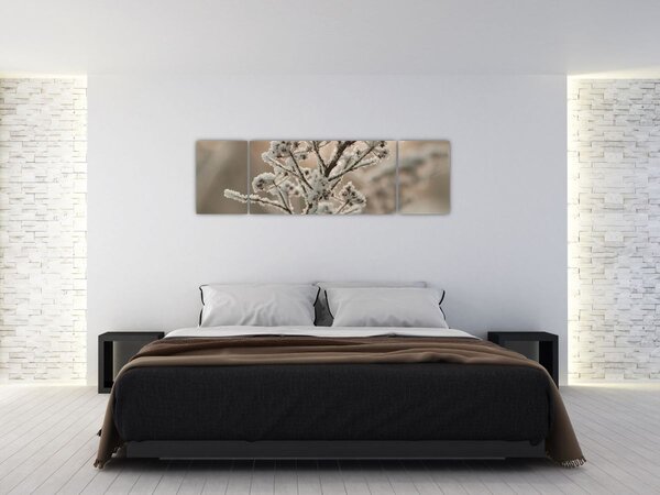 Obraz - Roślina w mrozie (170x50 cm)