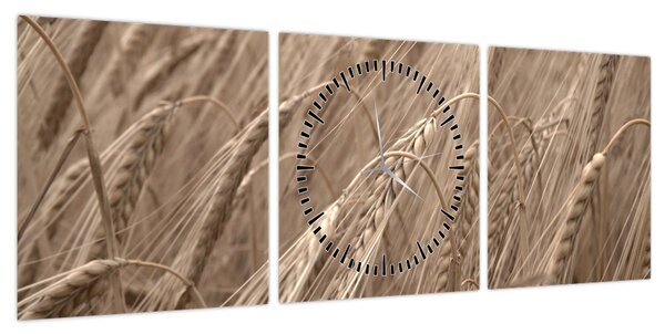 Obraz - Złote pole (z zegarem) (90x30 cm)