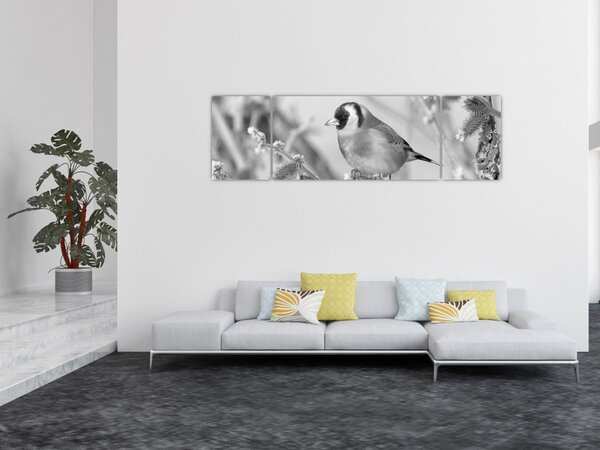 Obraz - Ptak zimą (170x50 cm)