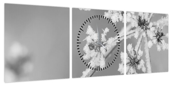 Obraz - Mrożona roślina (z zegarem) (90x30 cm)
