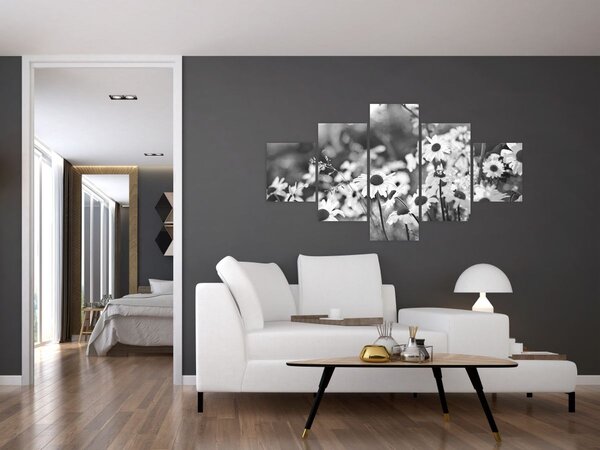 Obraz - Stokrotki (125x70 cm)