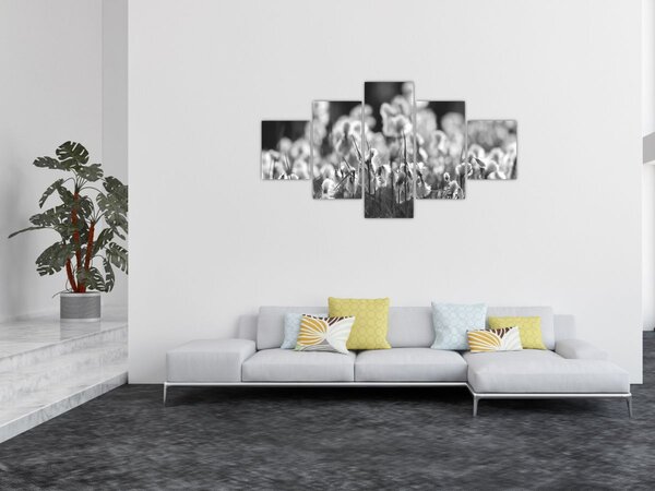 Obraz - Letnia łąka (125x70 cm)