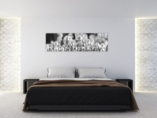 Obraz - Letnia łąka (170x50 cm)