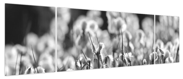 Obraz - Letnia łąka (170x50 cm)