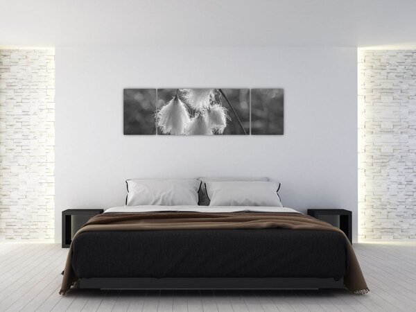 Obraz - Trawa bawełniana (170x50 cm)