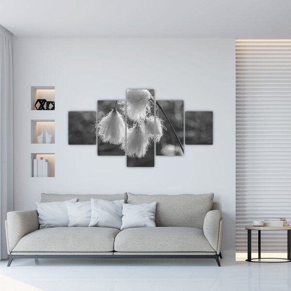 Obraz - Trawa bawełniana (125x70 cm)