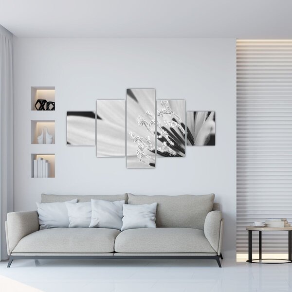 Obraz - Czarno-biały kwiat (125x70 cm)