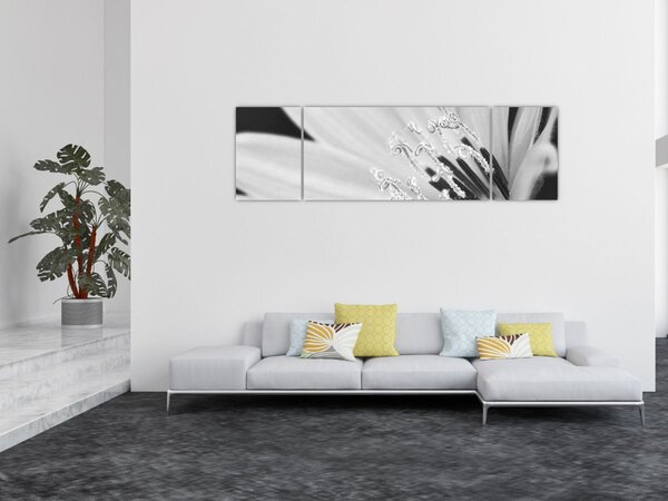 Obraz - Czarno-biały kwiat (170x50 cm)