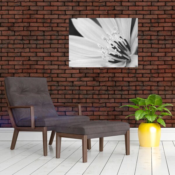 Obraz - Czarno-biały kwiat (70x50 cm)