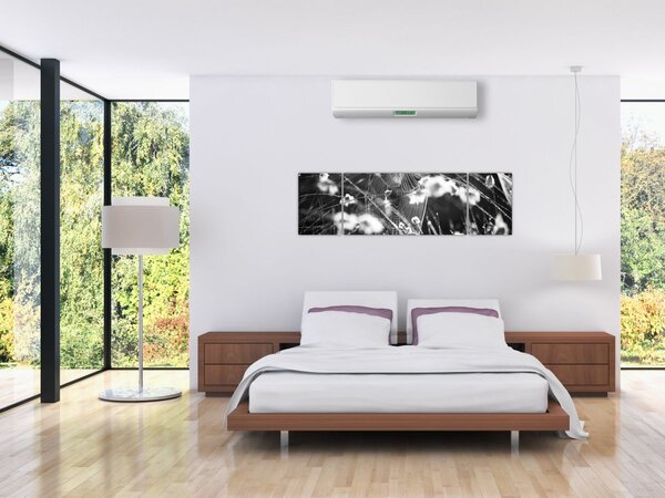 Obraz - Pajęczyna na łące (170x50 cm)