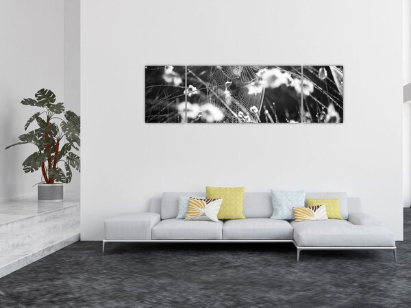 Obraz - Pajęczyna na łące (170x50 cm)