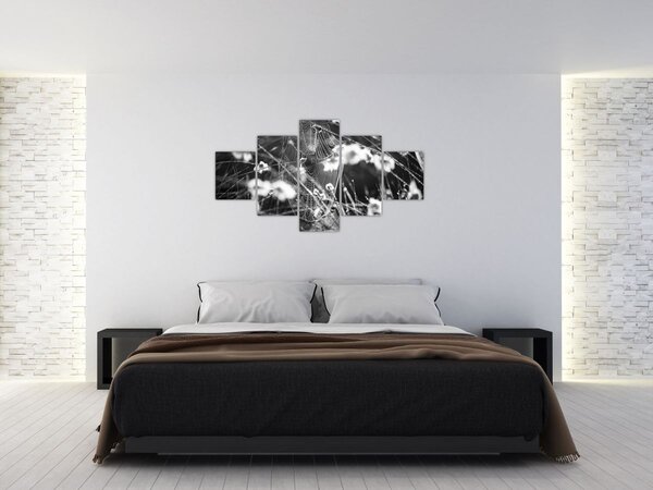 Obraz - Pajęczyna na łące (125x70 cm)
