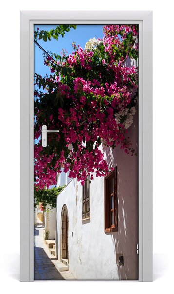 Fototapeta samoprzylepna na drzwi Rodos Grecja