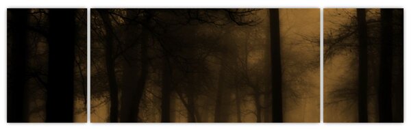 Obraz - Ciemny las (170x50 cm)