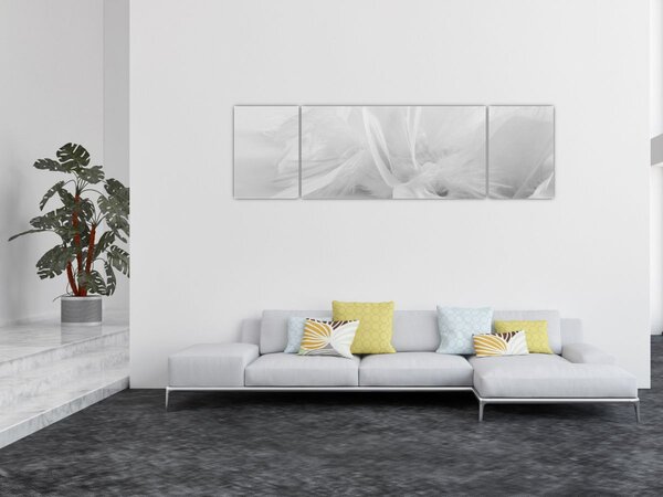 Obraz - Pióra (170x50 cm)