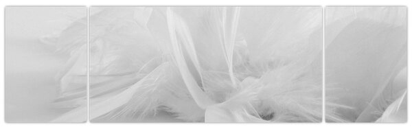 Obraz - Pióra (170x50 cm)