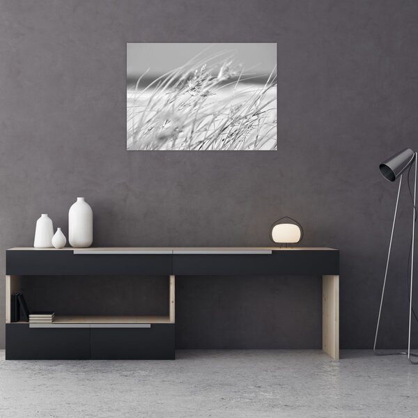 Obraz - Trawa plażowa (70x50 cm)