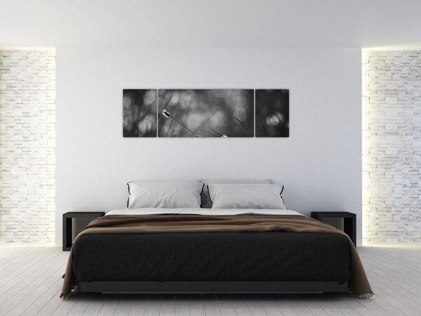 Obraz - Trawa łąkowa (170x50 cm)