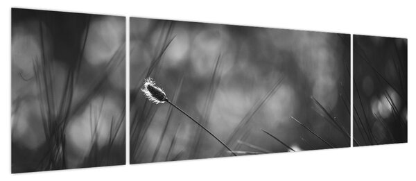 Obraz - Trawa łąkowa (170x50 cm)
