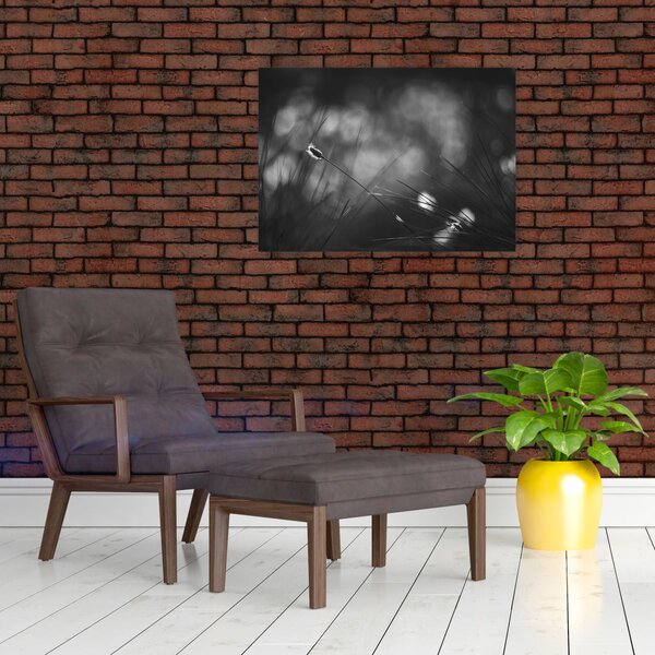 Obraz - Trawa łąkowa (70x50 cm)