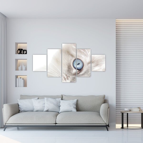 Obraz - Kot z niebieskimi oczami (125x70 cm)