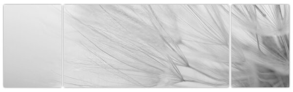 Obraz - Mniszek lekarski (170x50 cm)