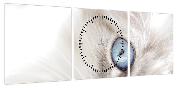 Obraz - Kot z niebieskimi oczami (z zegarem) (90x30 cm)