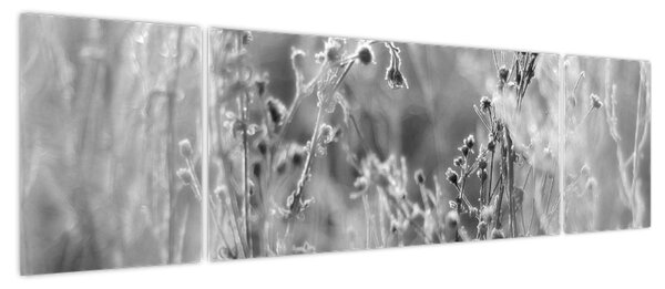 Obraz - Dzika łąka (170x50 cm)