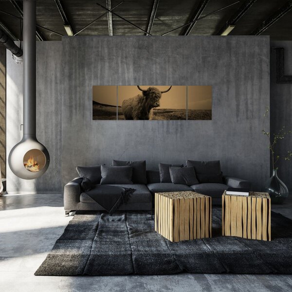 Obraz - Szkocka krowa na wolności (170x50 cm)
