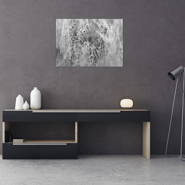 Obraz - Dzika łąka (70x50 cm)