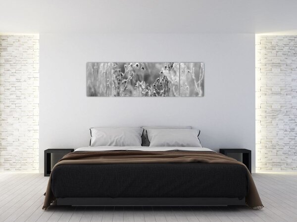 Obraz - Dzika łąka (170x50 cm)