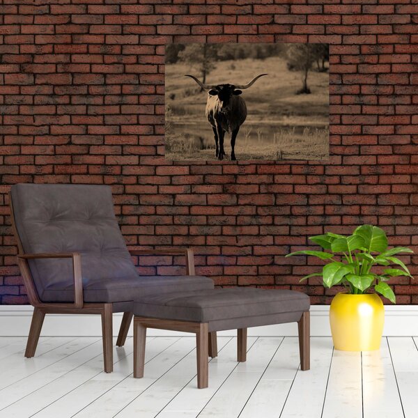 Obraz - Krowa z Teksasu (70x50 cm)