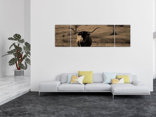 Obraz - Krowa z Teksasu (170x50 cm)