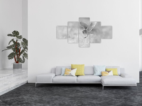 Obraz - Sowa na polu (125x70 cm)