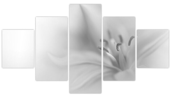 Obraz - Delikatna lilia (125x70 cm)