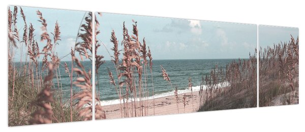 Obraz - Różowa plaża (170x50 cm)