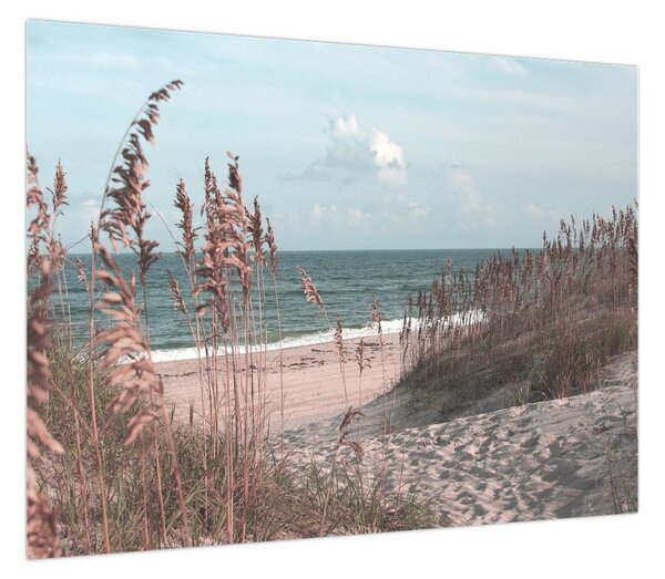 Obraz - Różowa plaża (70x50 cm)
