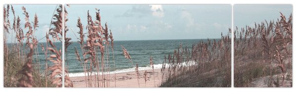 Obraz - Różowa plaża (170x50 cm)