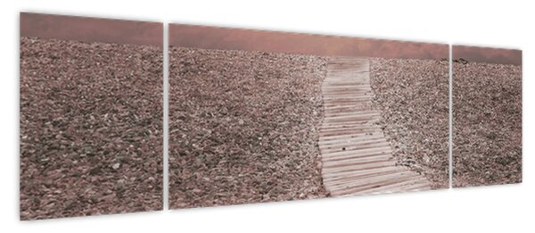 Obraz - Plaża żwirowa (170x50 cm)